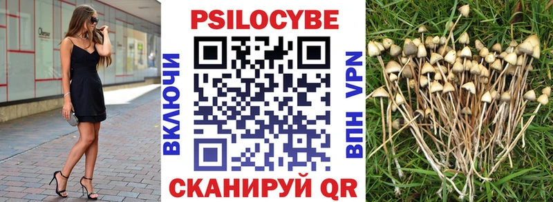 где найти наркотики  Лаишево  Галлюциногенные грибы ЛСД 
